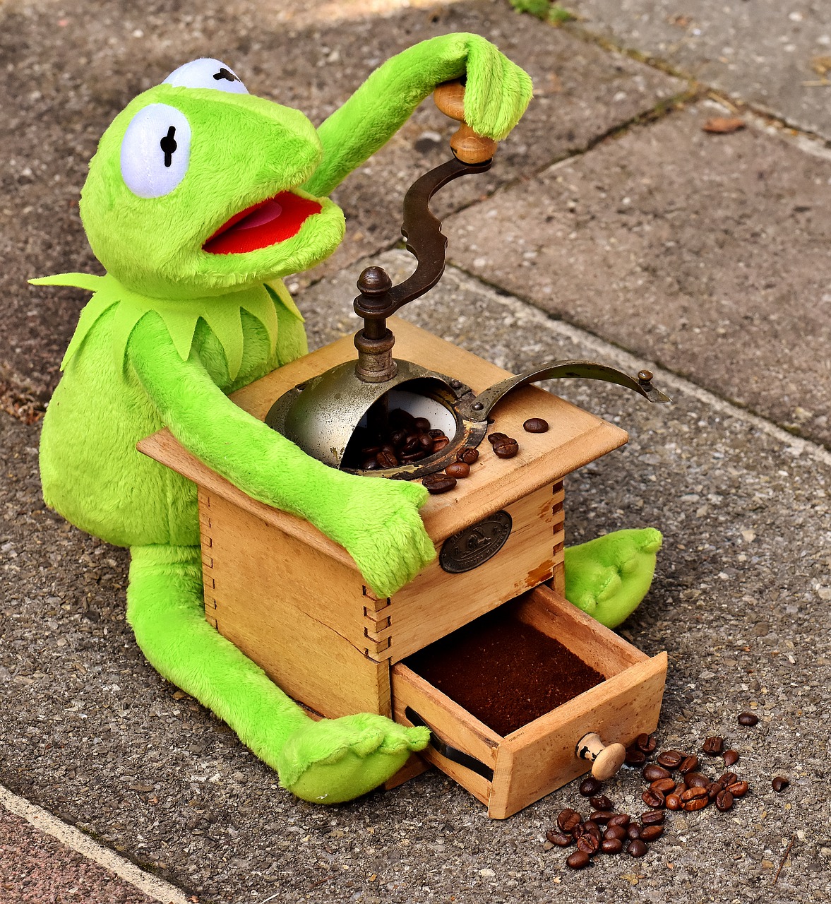 Image - grinder coffee beans kermit