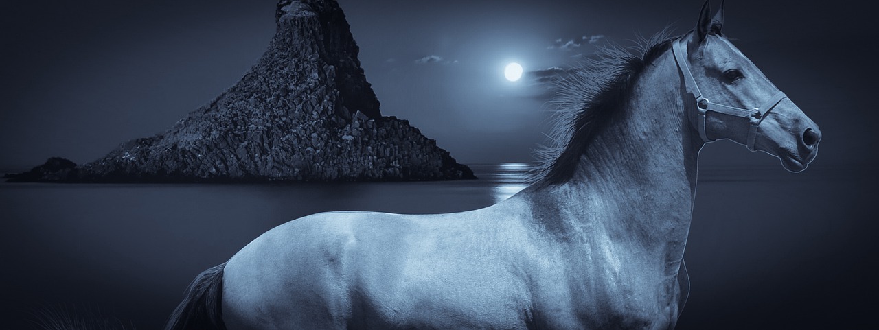 Image - design horse night island sea
