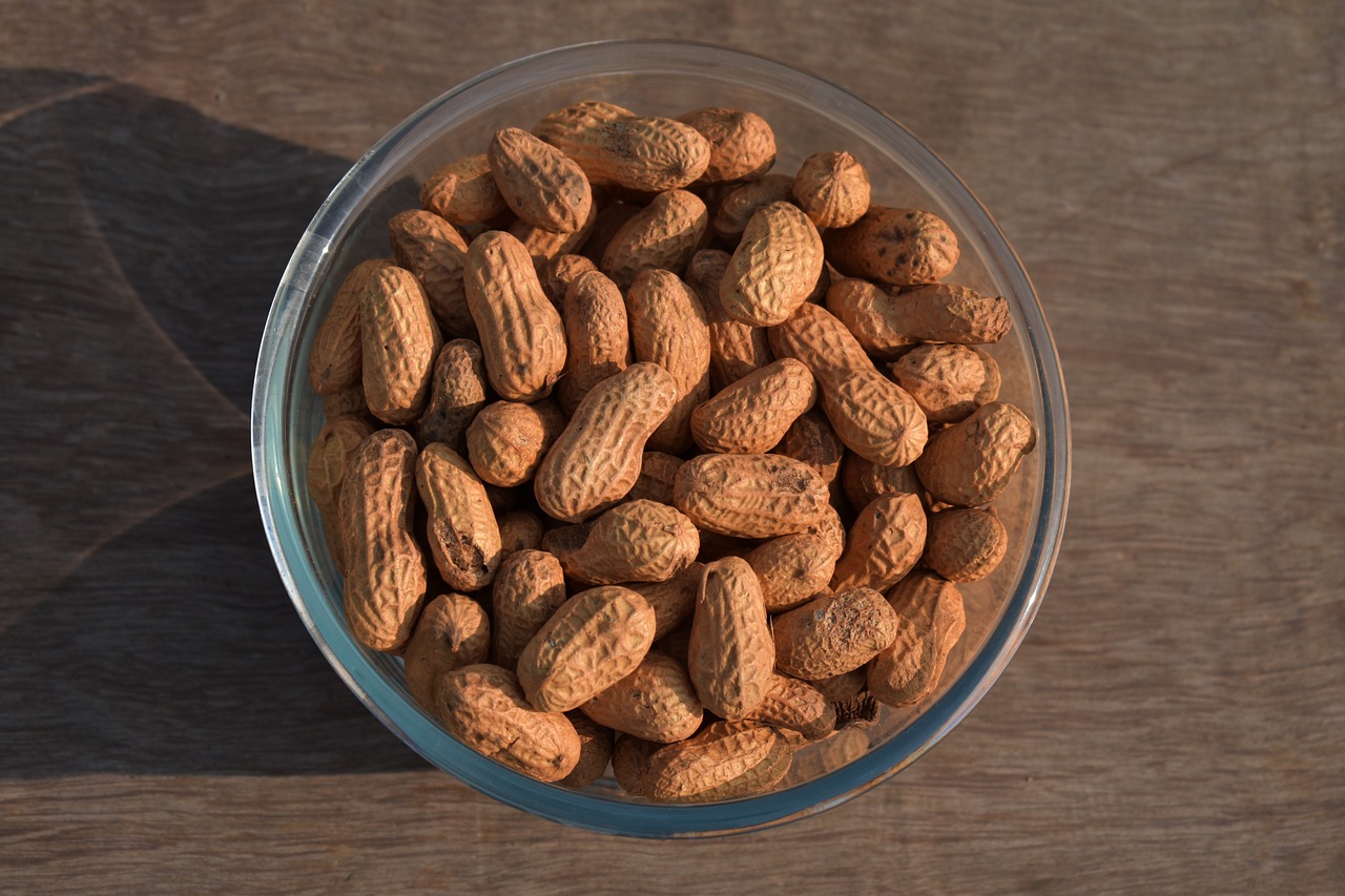 Image - food refreshment seed healthy nut