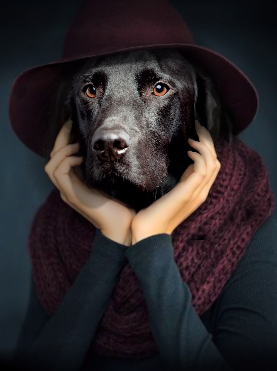 Image - dog portrait thinker