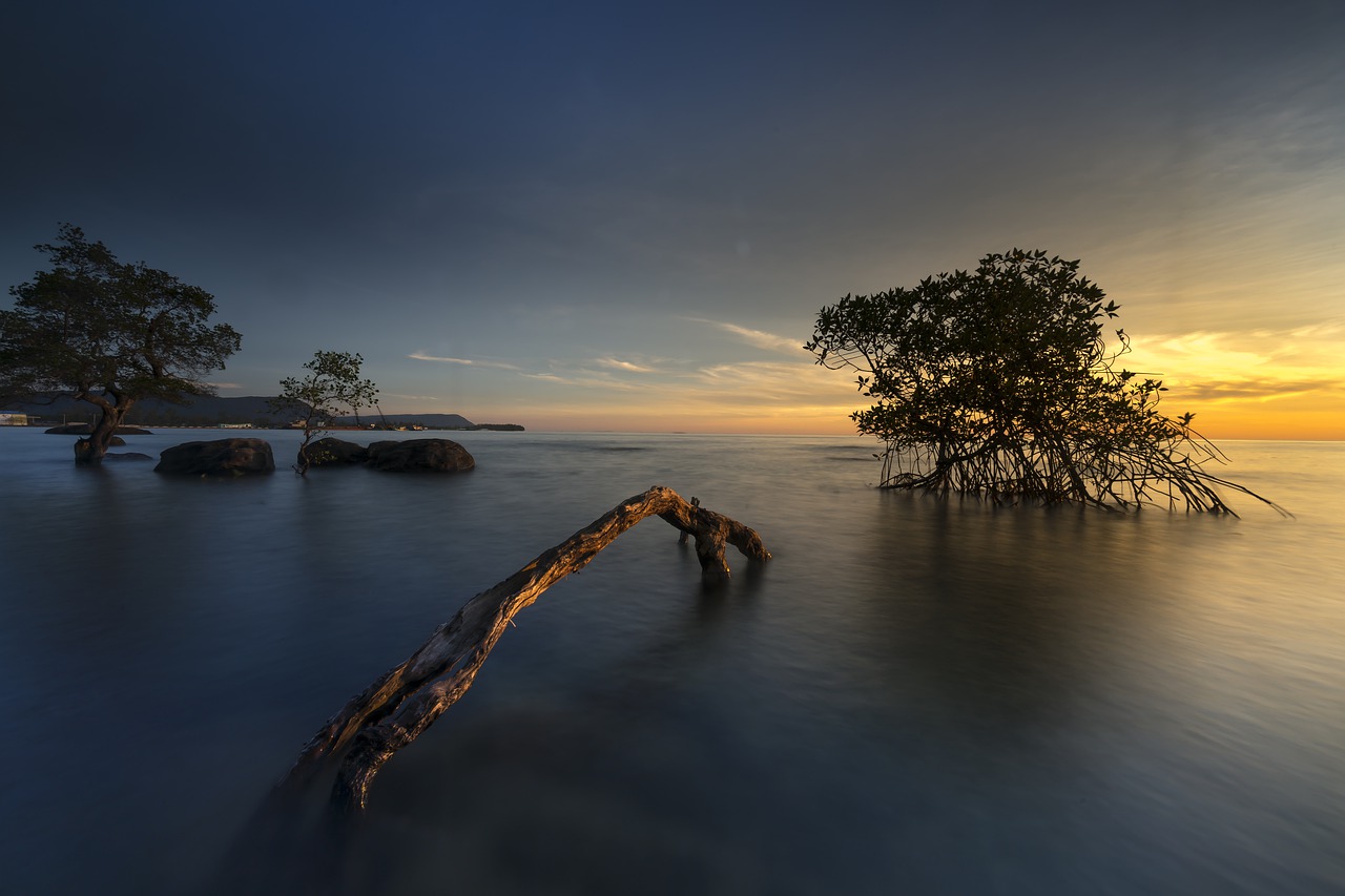 Image - the sun phuquoc island vietnam