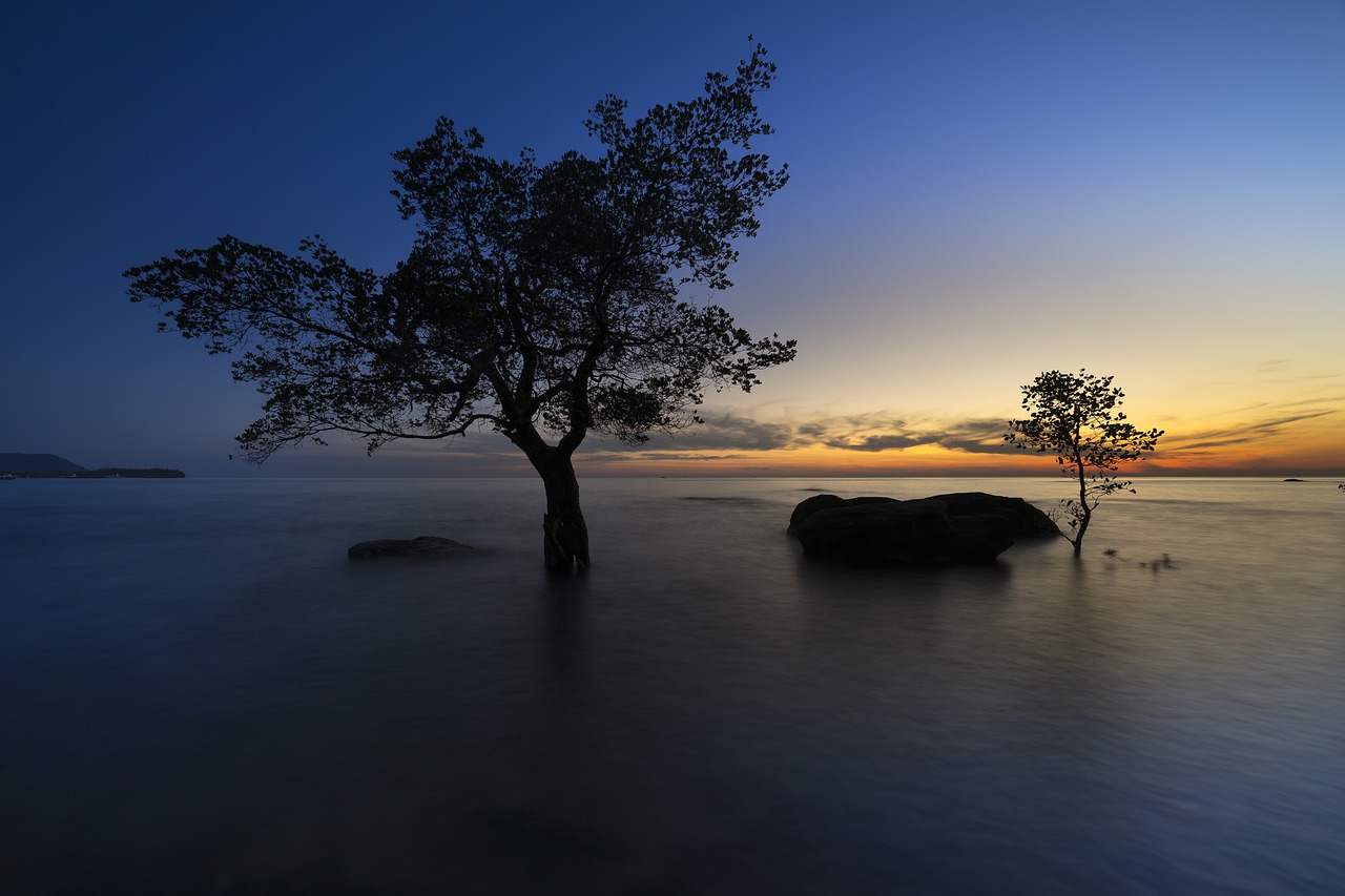 Image - the sun phuquoc island vietnam