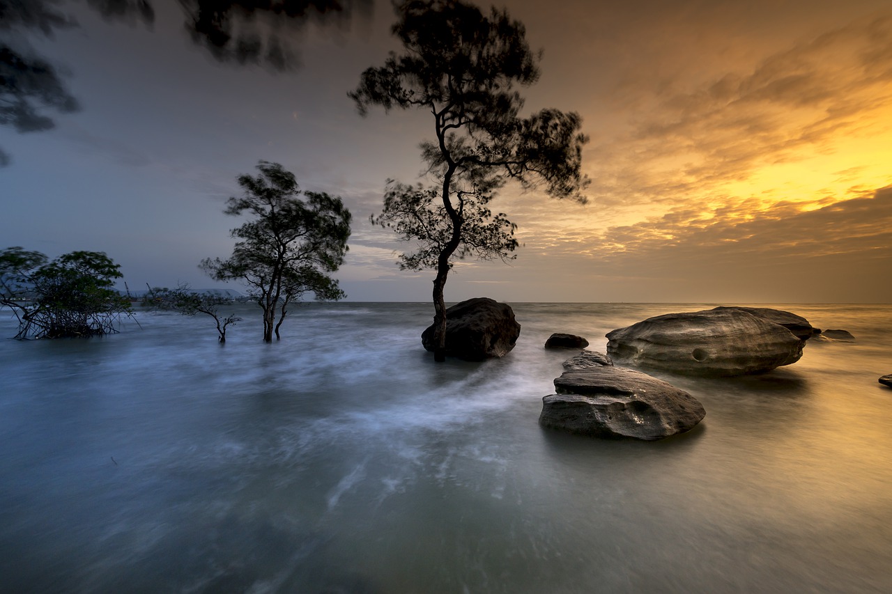 Image - phu quoc island vietnam trees