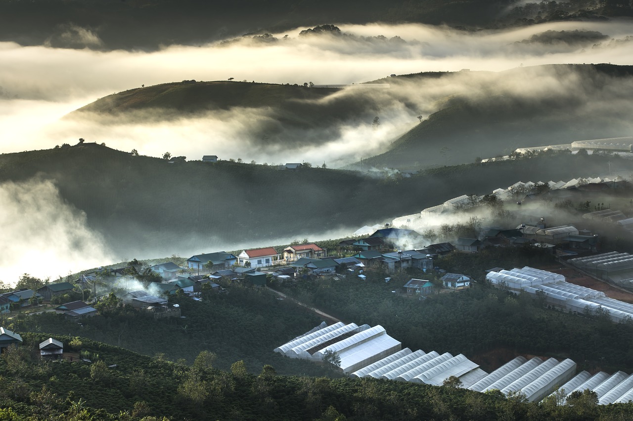 Image - da lat vietnam planting bright