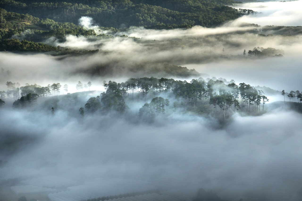 Image - da lat vietnam planting bright