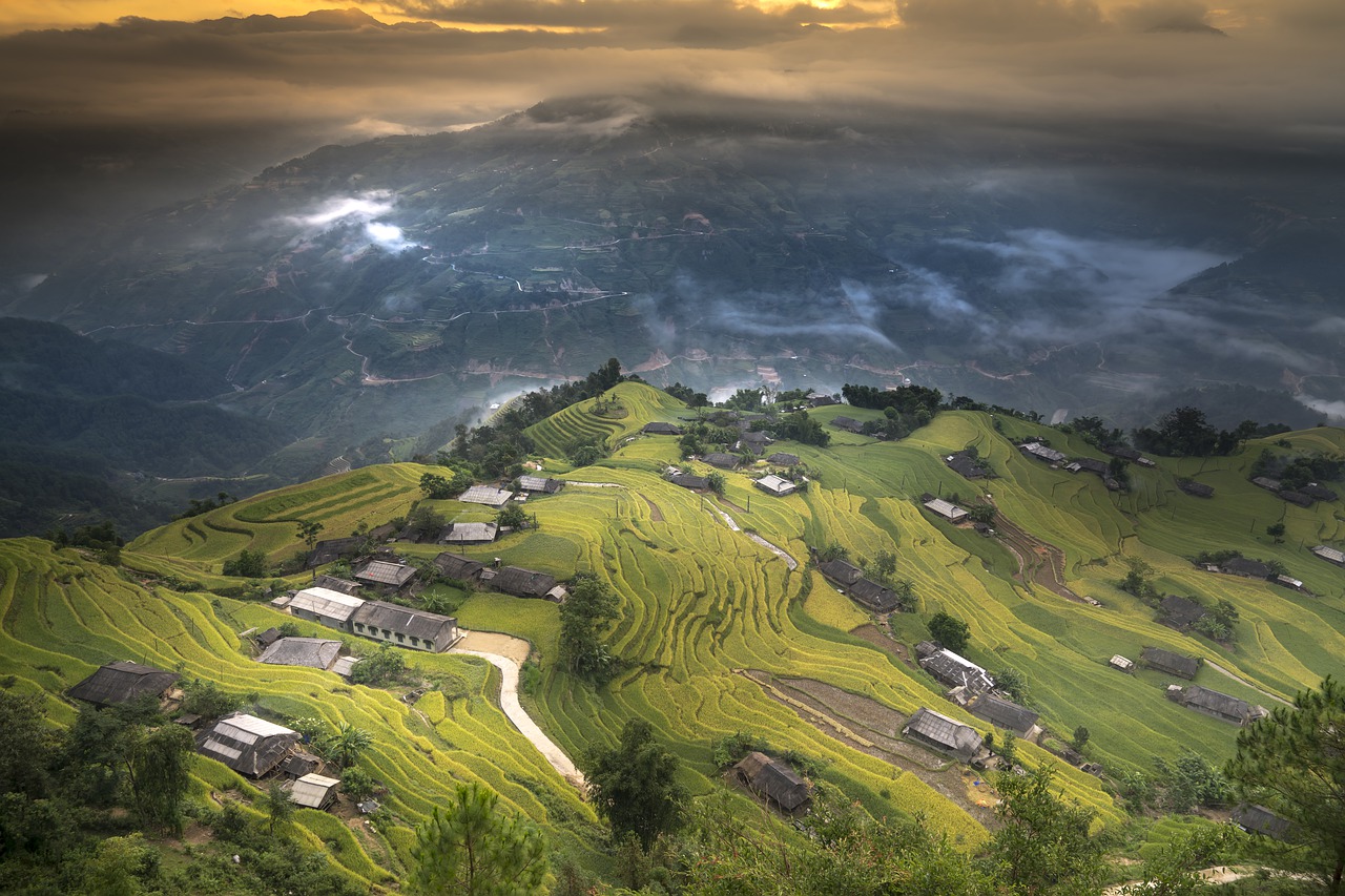 Image - vietnam rice rice field ha giang