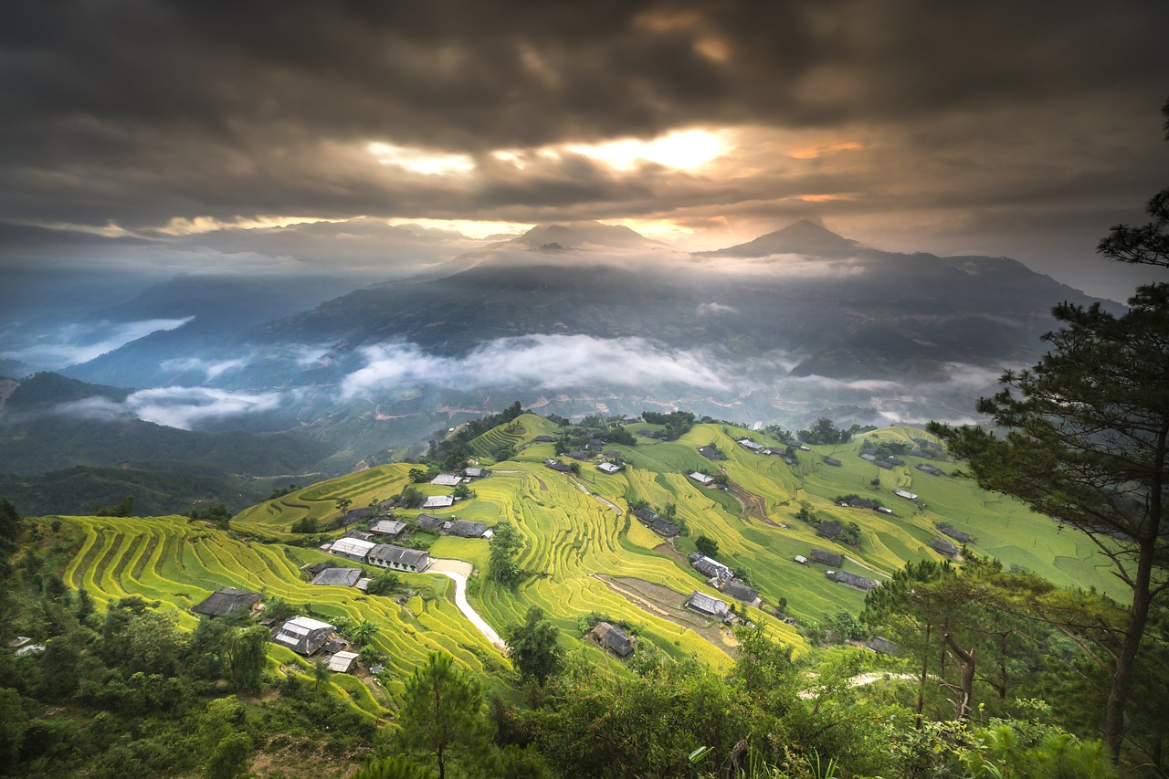 Image - vietnam rice rice field ha giang