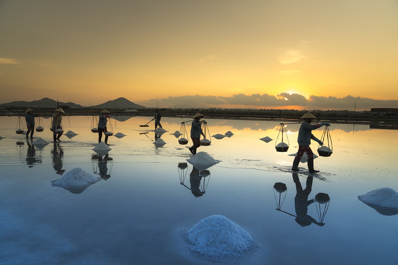 Image - salt hon khoi vietnam field