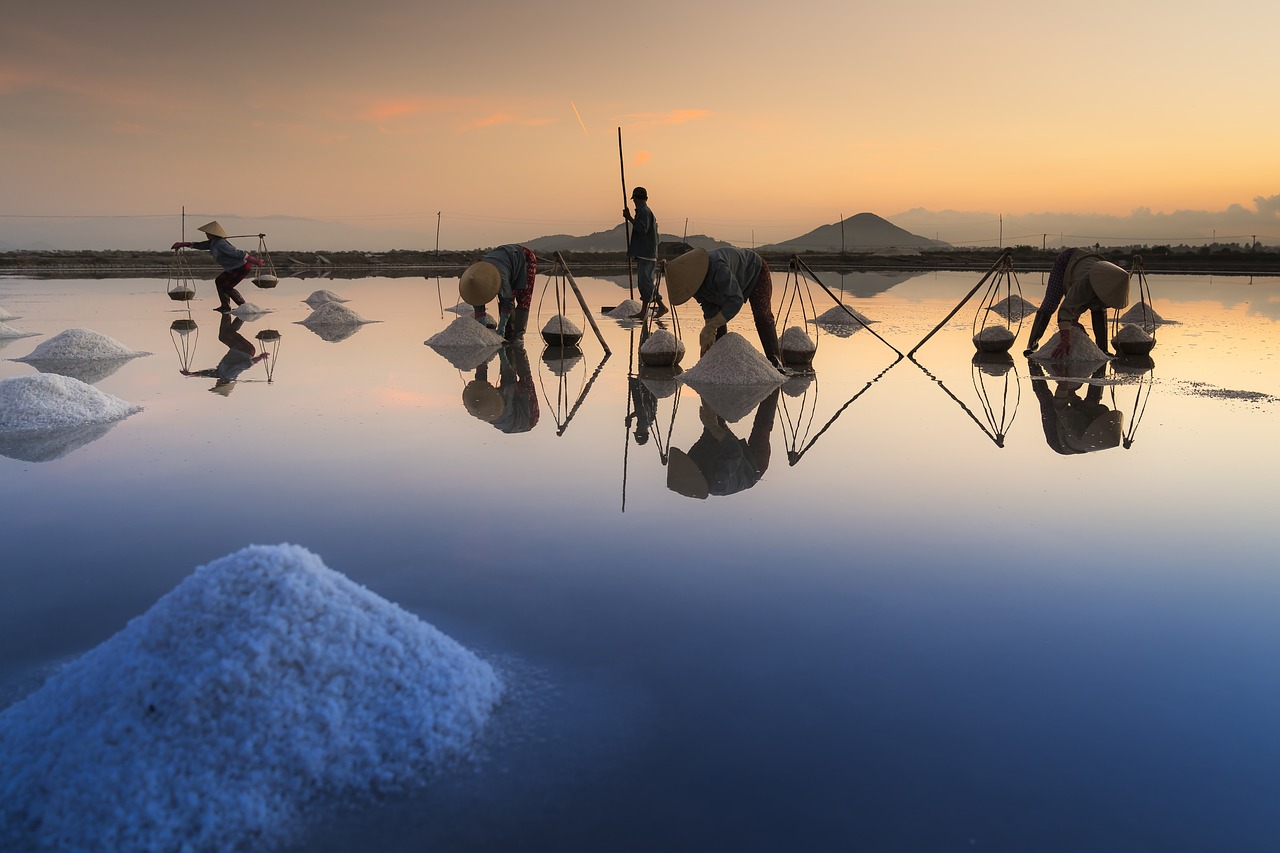 Image - salt hon khoi vietnam field