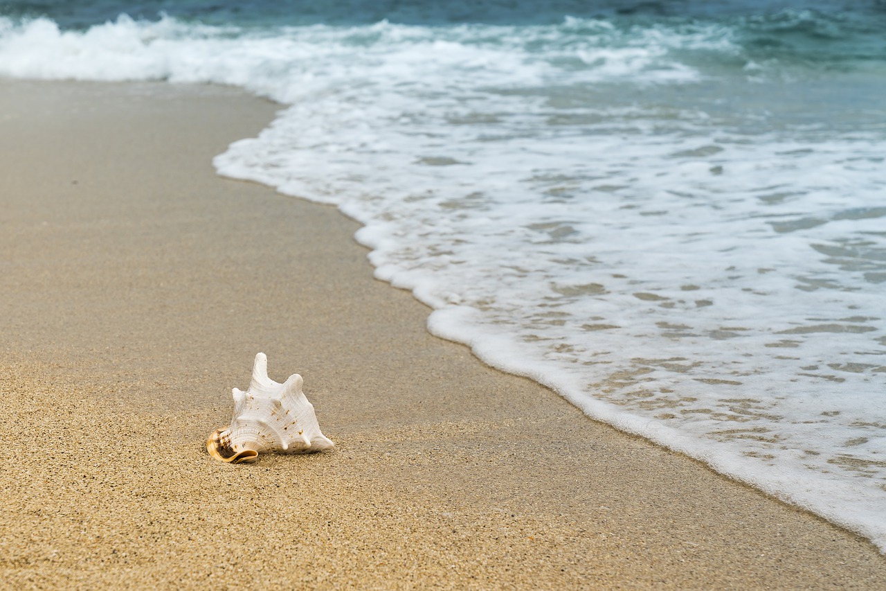 Image - background the beach nice