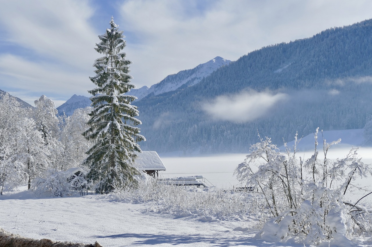 Image - snow winter cold frost frozen