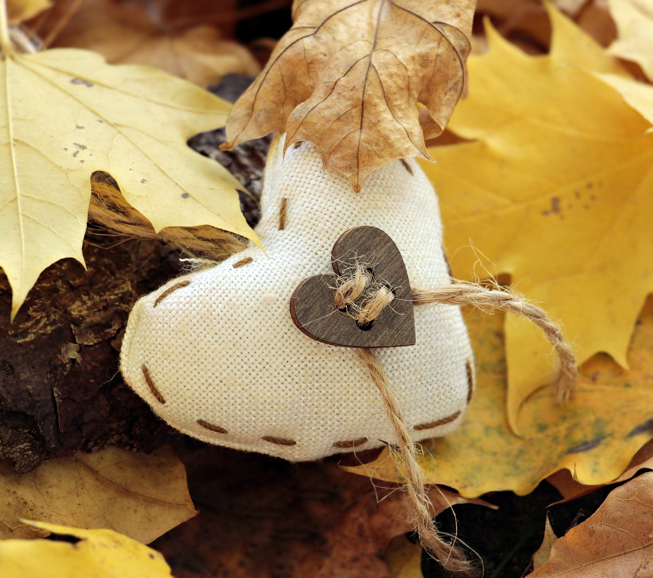 Image - heart autumn leaves true leaves