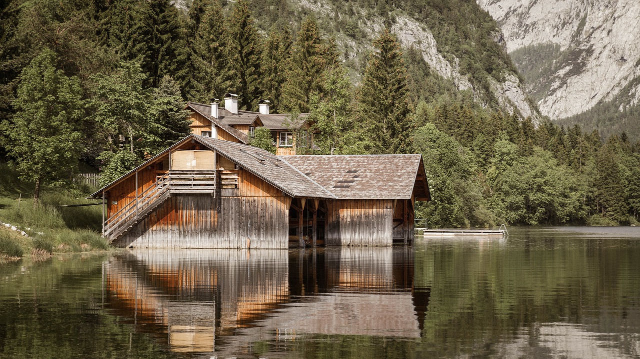 Image - wood nature waters home tree lake