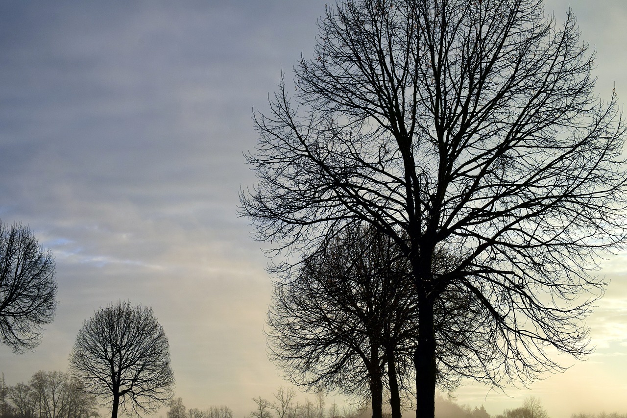 Image - sky clouds cold fog haze mood