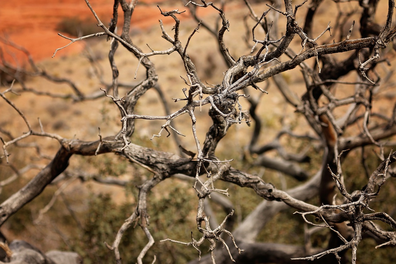 Image - red rock canyon las vegas nevada