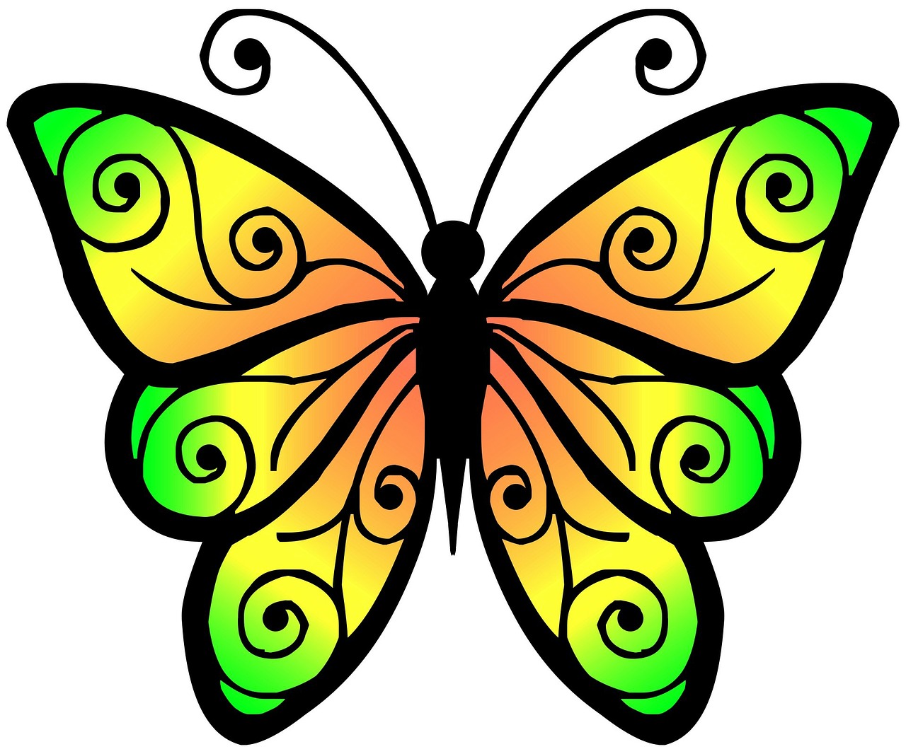 Image - butterfly gradient colorful white