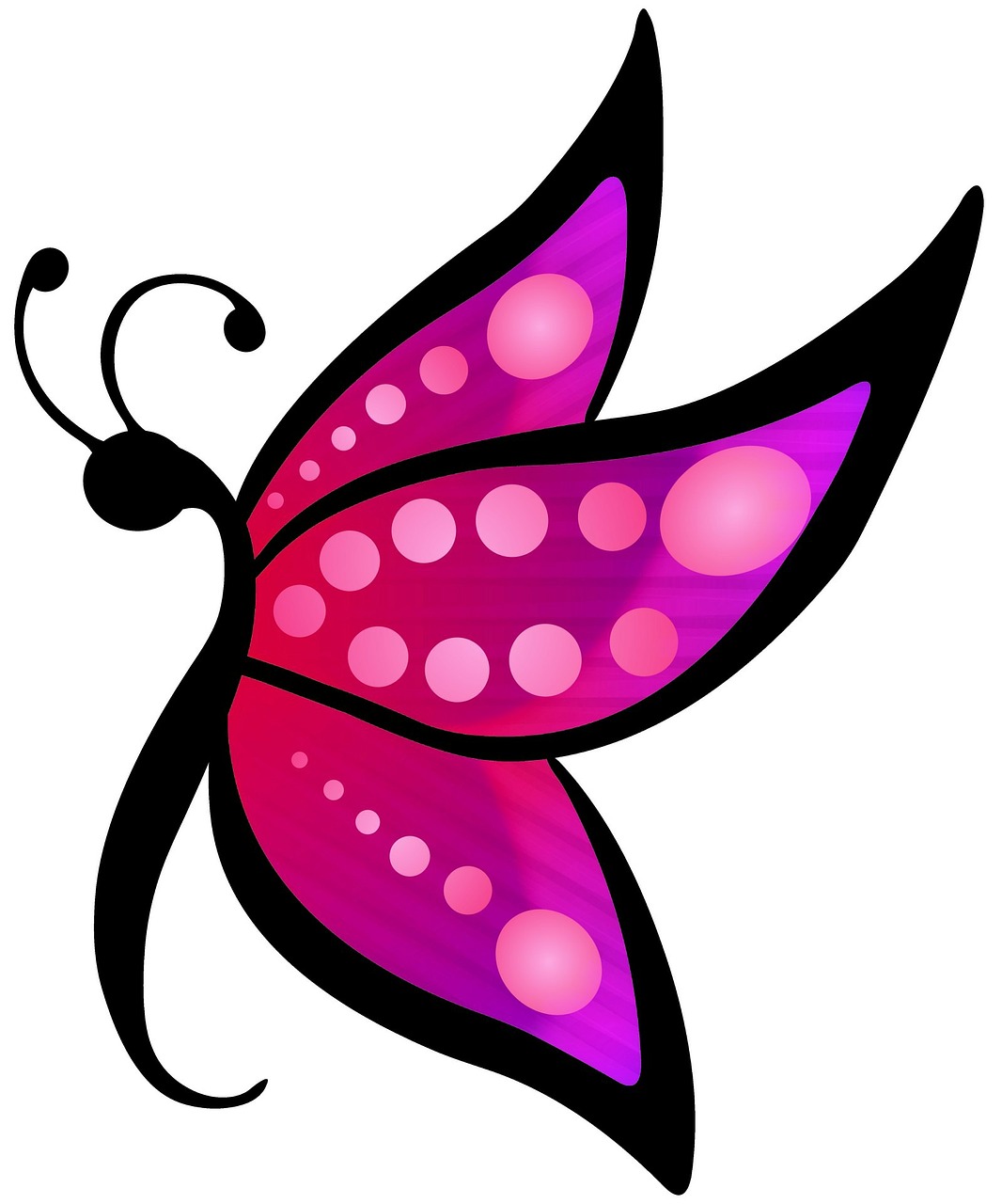 Image - butterfly gradient colorful white