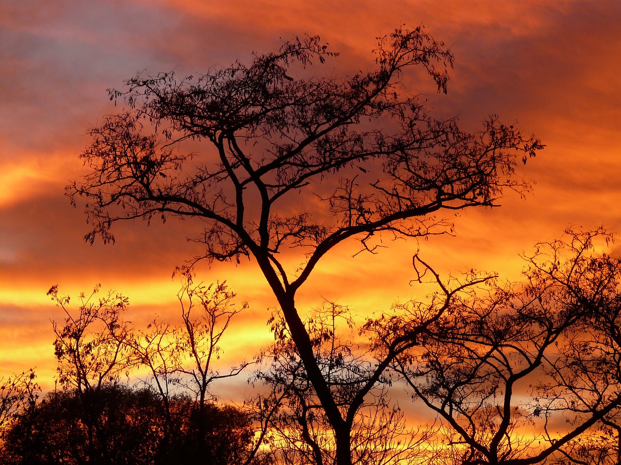 Image - sun sunset sky clouds colorful