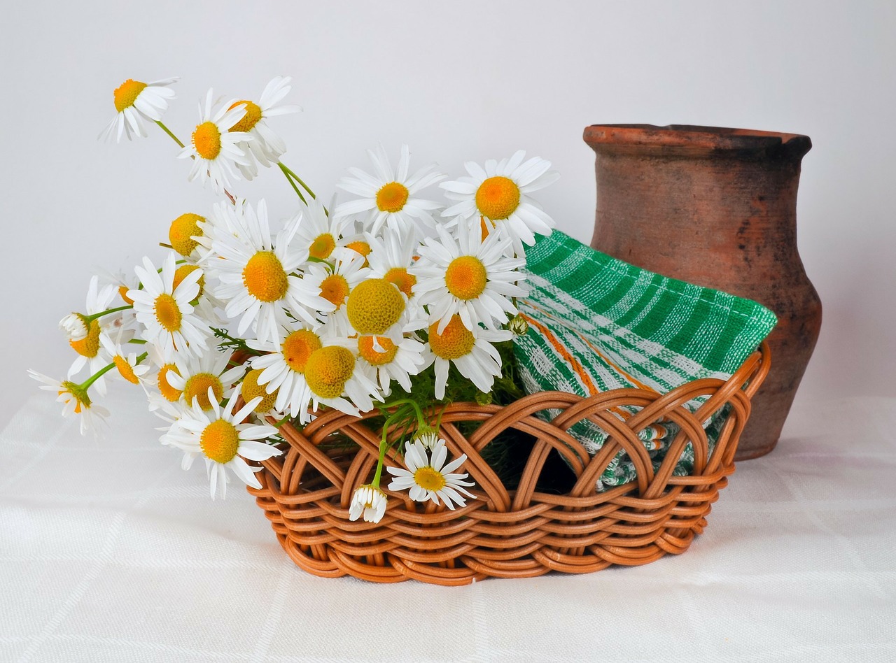 Image - daisies basket weaving pot jug