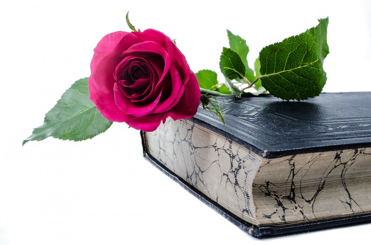 Image - flower flowers rose book love