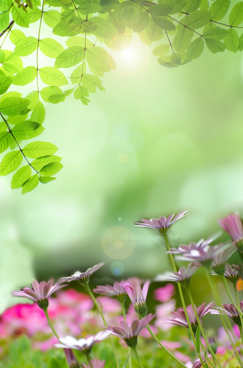 Image - spring background flower field