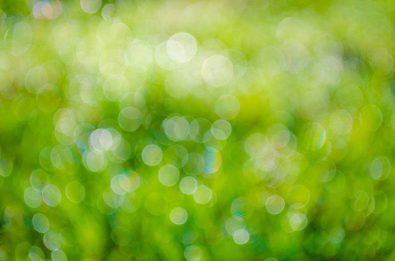 Image - green background abstract plant