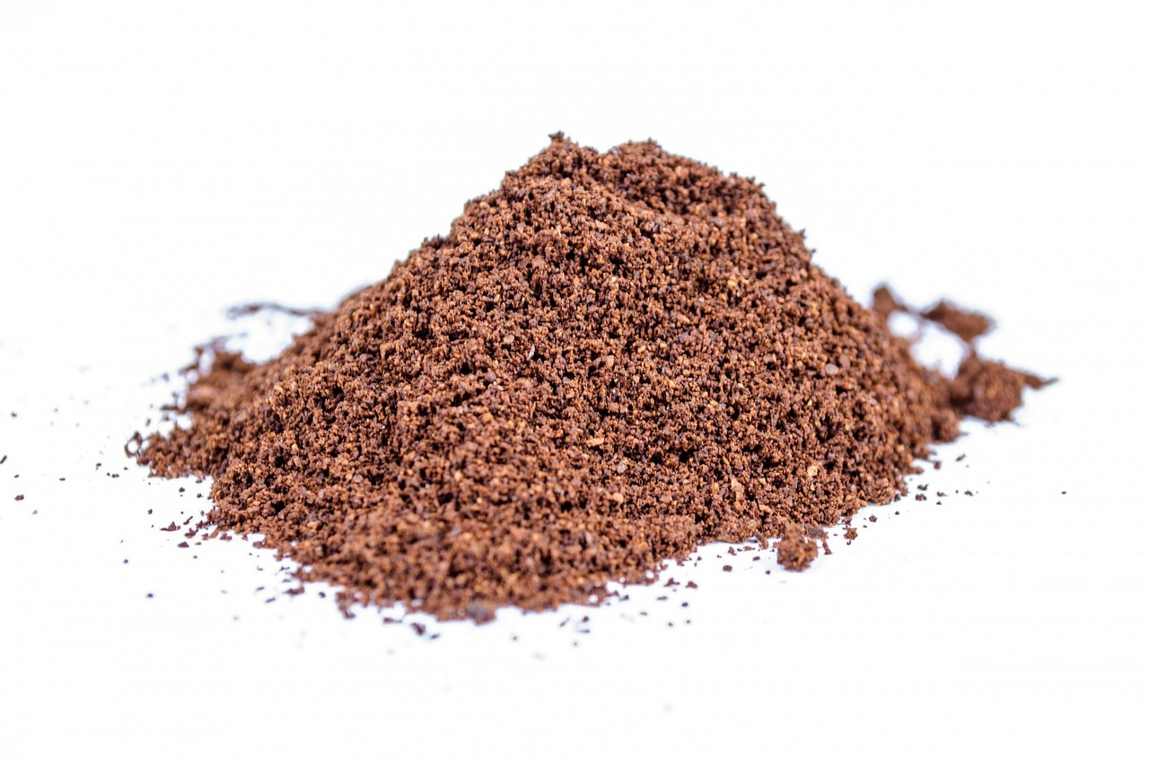 Image - ground powder white cacao close up