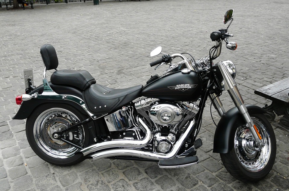 Image - harley davidson fatboy parked