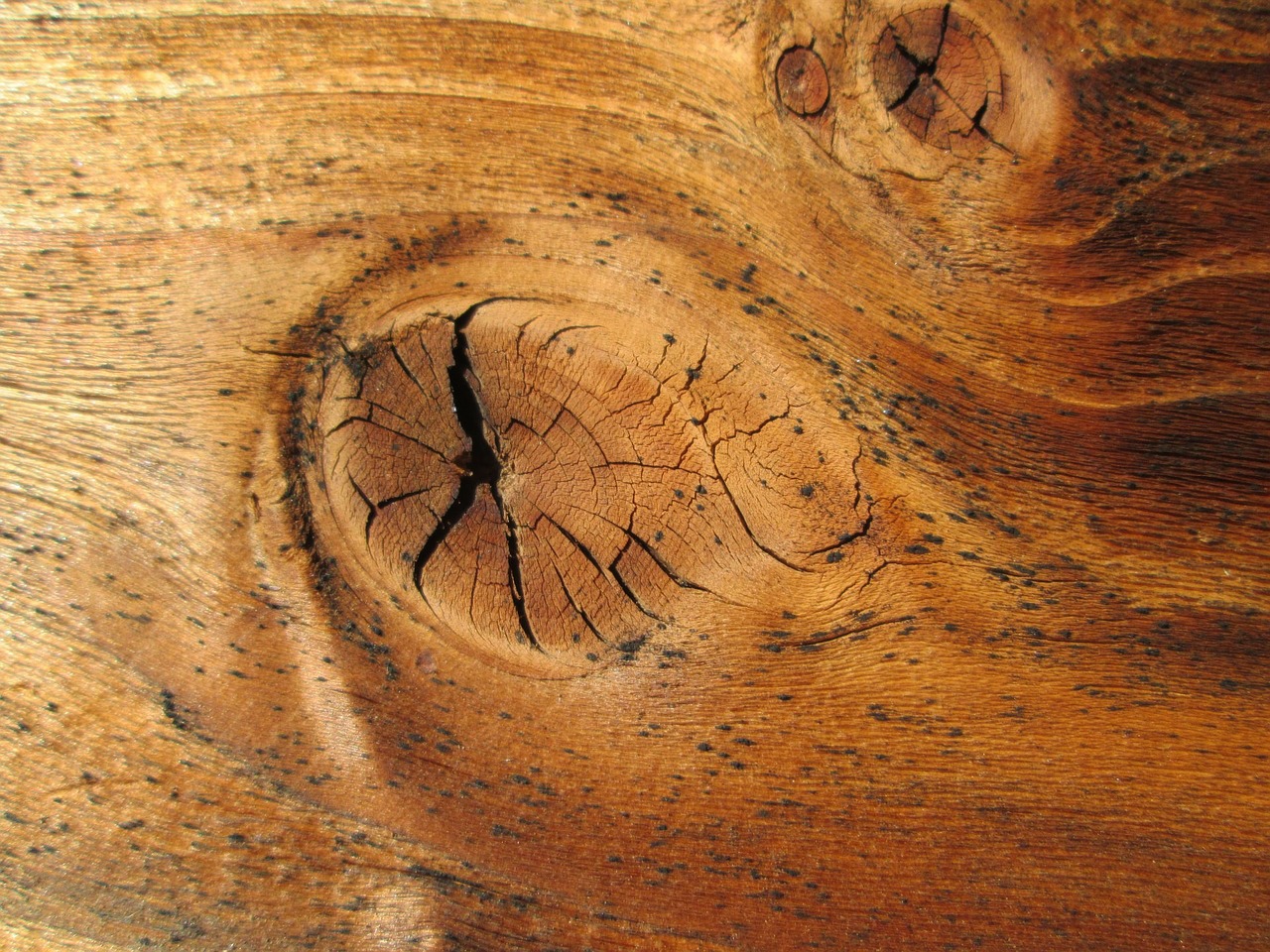 Image - wood texture background knot