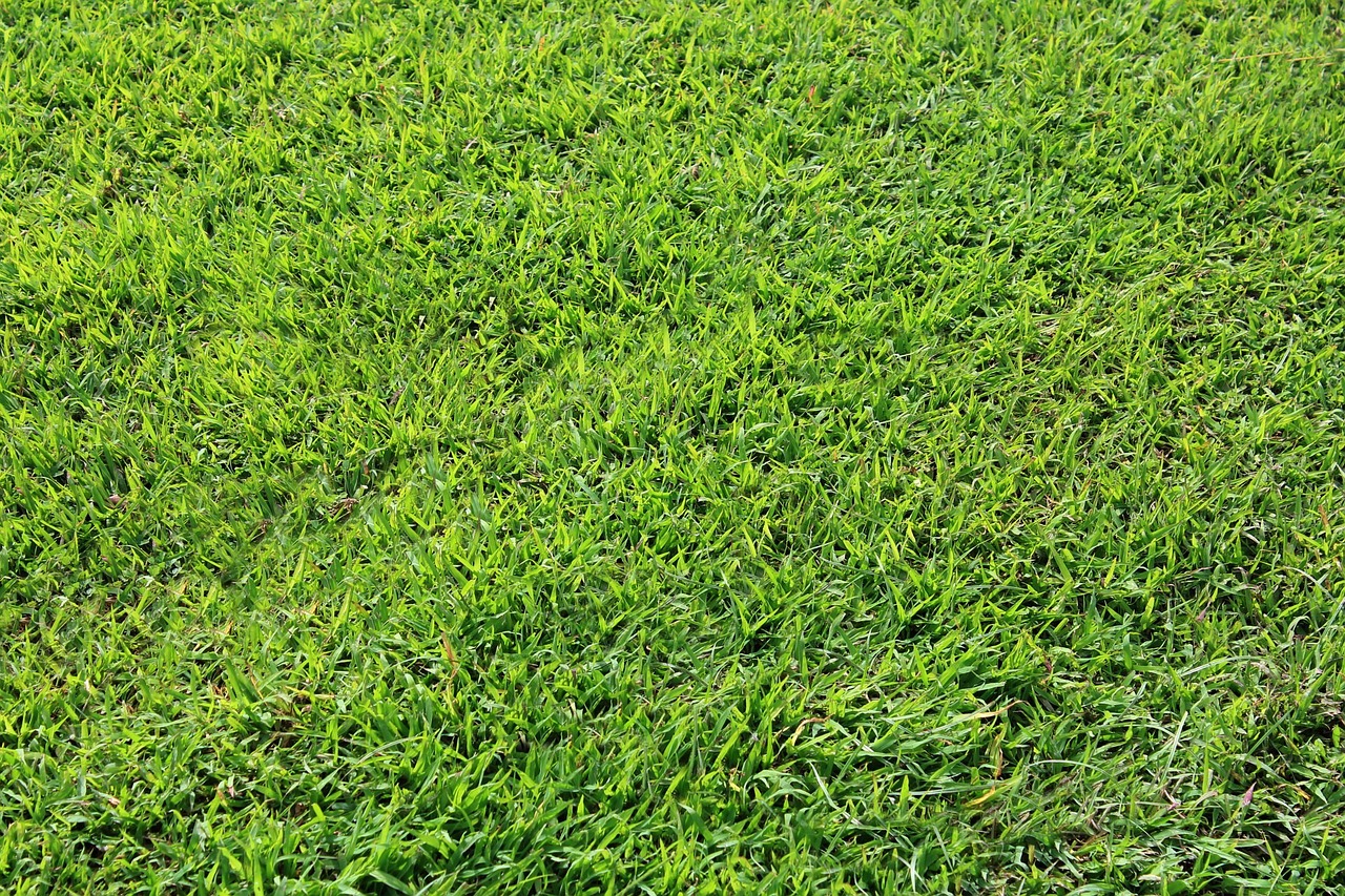 Image - grass background grass background