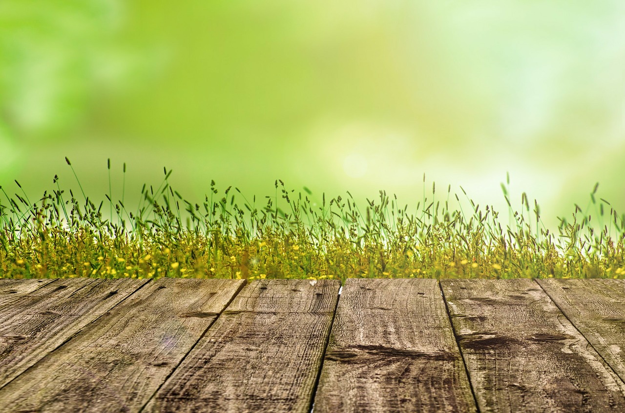 Image - background green gardening spring