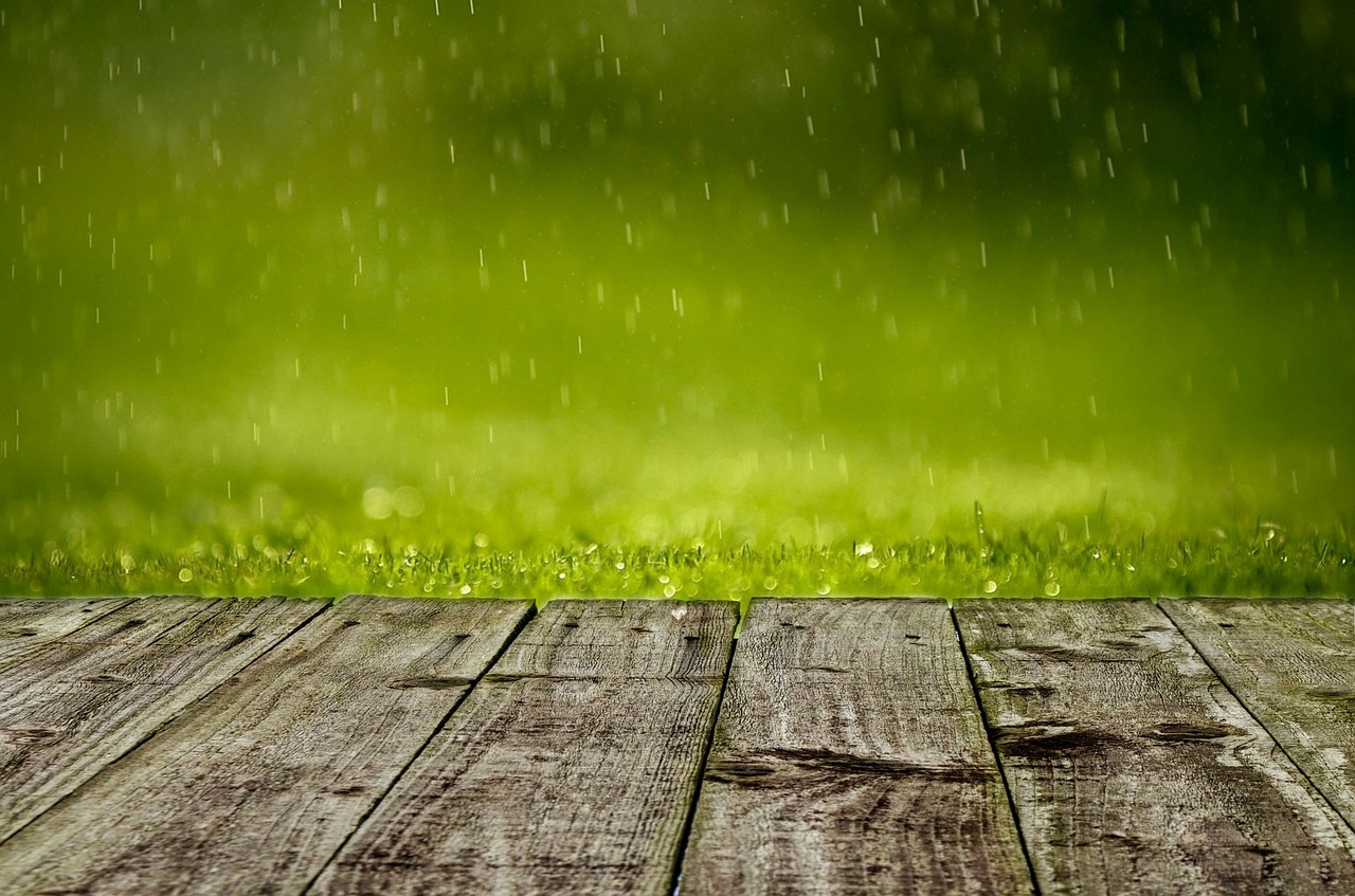 Image - spring background green grass rain