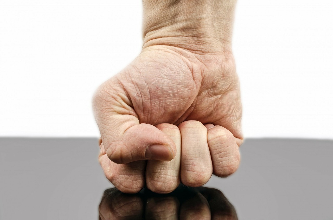 Image - punch fist hand strength isolated