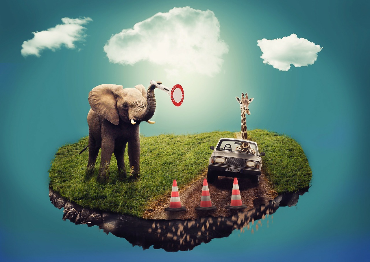 Image - dream surreal composition elephant