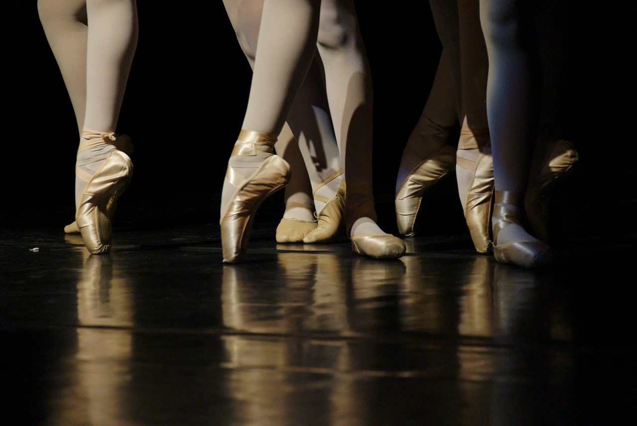 Image - ballet dancers foot slipper dance