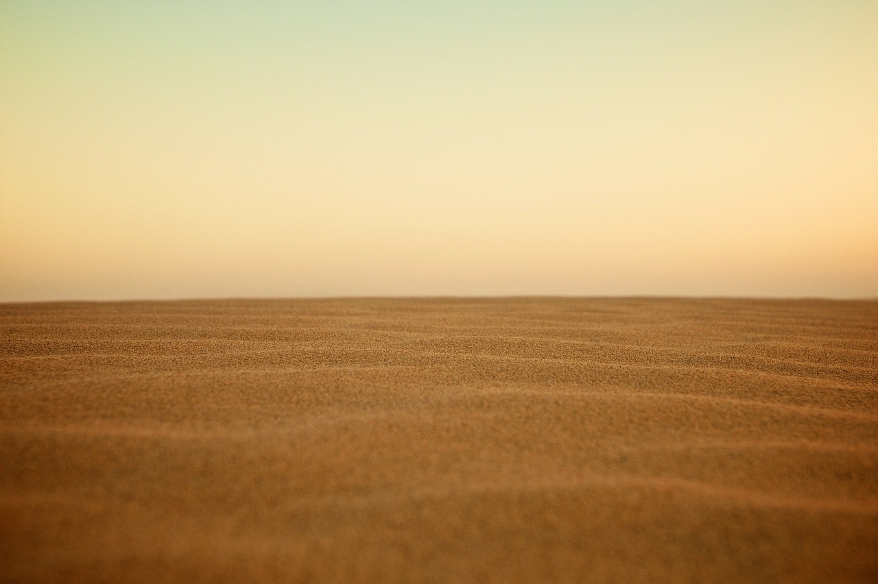 Image - sand dune desert sahara landscape