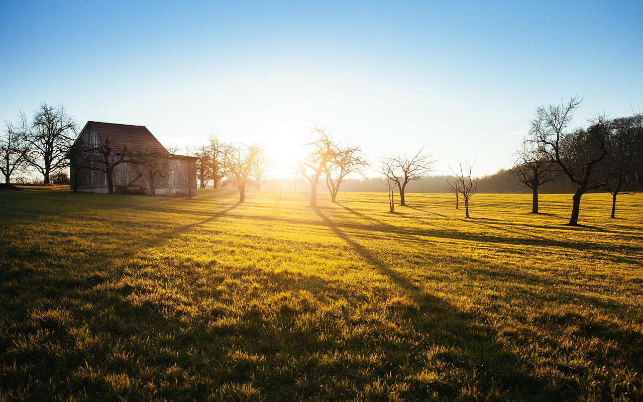 Image - farm shed cabin shack countryside