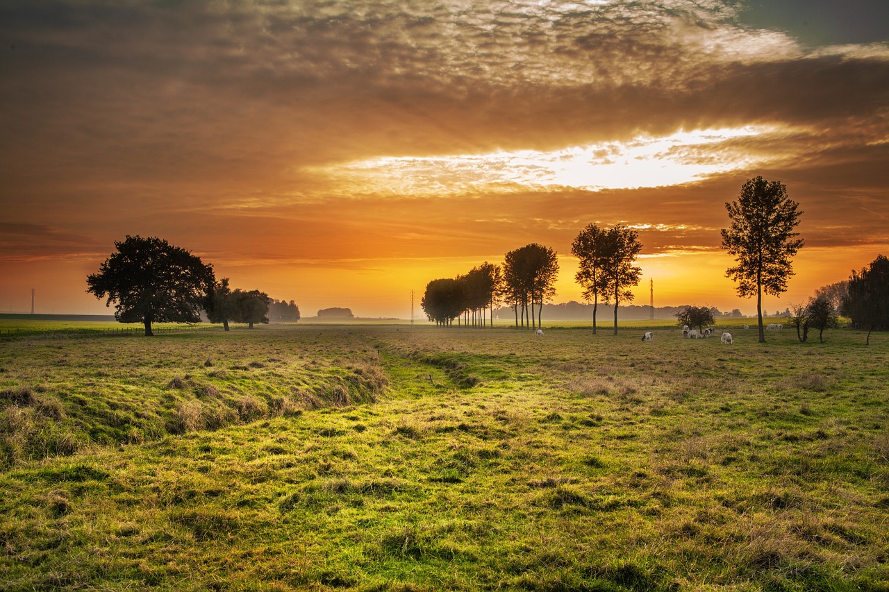 Image - countryside twilight sunset dusk