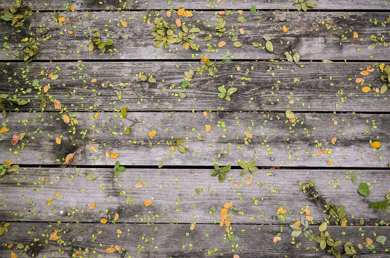 Image - leaves wooden boards wood wall