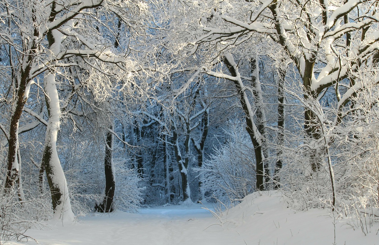 Image - winter wintry snow magic