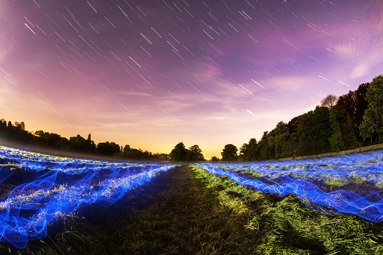 Image - stars field long exposure night