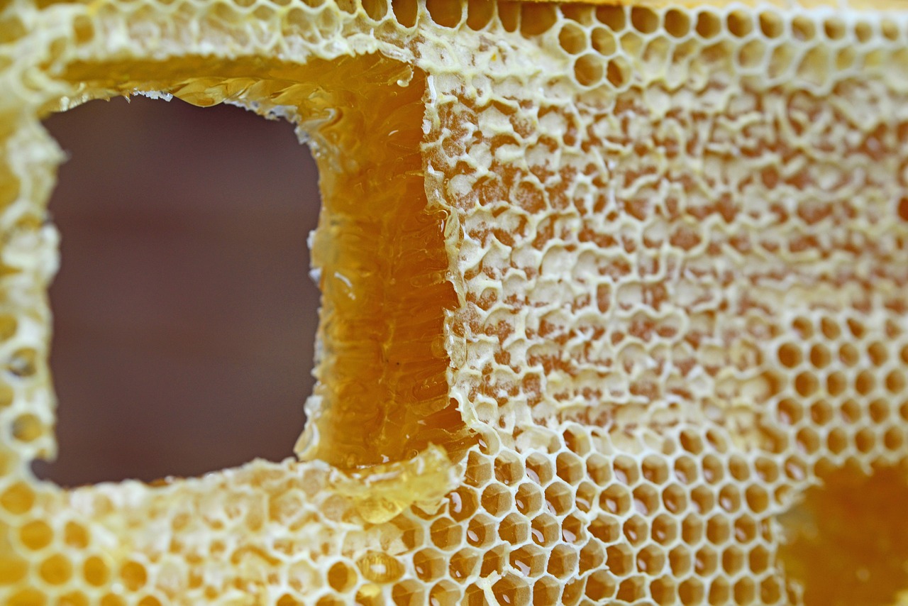 Image - honeycomb comb honey wax cells