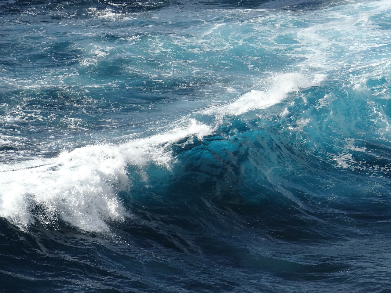 Image - wave sea ocean water wet nature