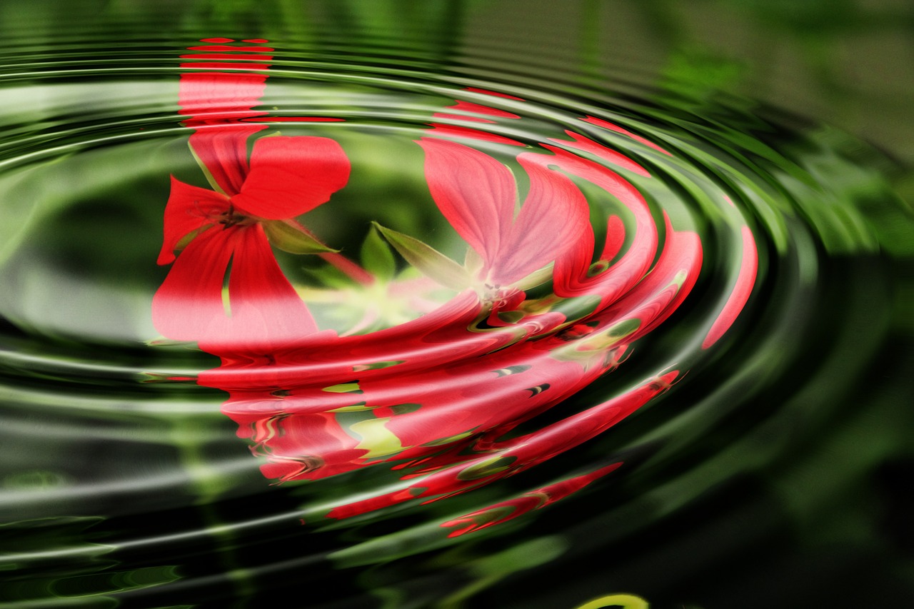 Image - geranium wave water rings circle