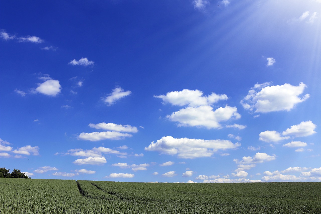 Image - cloud green blue sky sunny