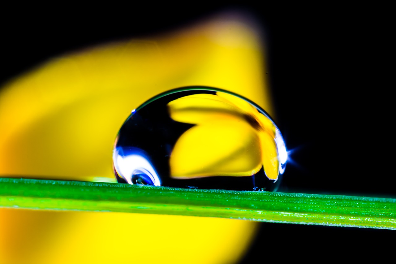 Image - drop of water drip blade of grass