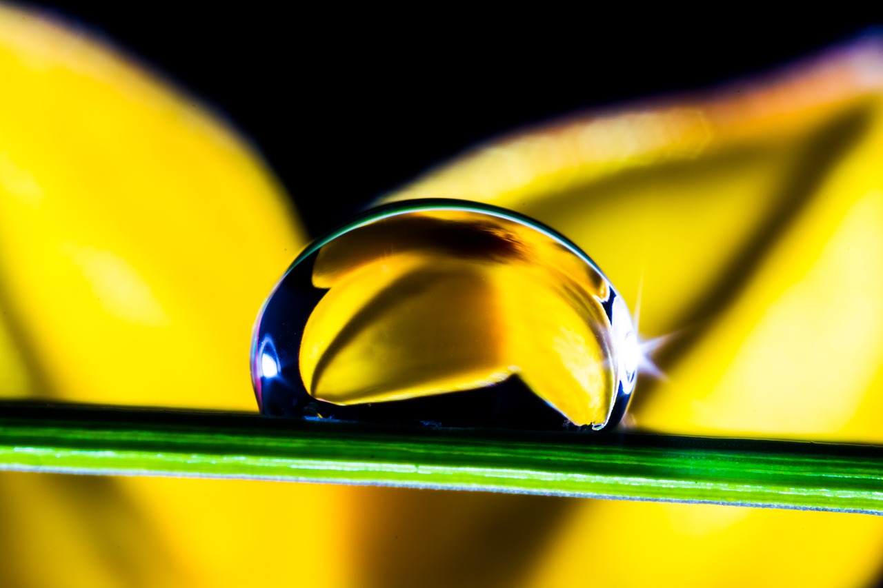 Image - drop of water drip blade of grass