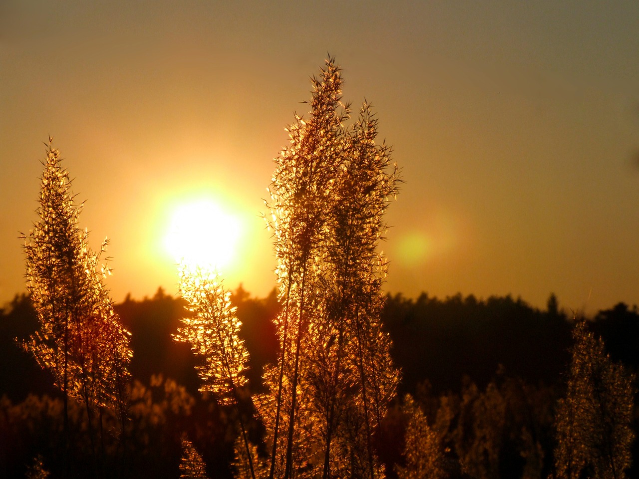 Image - sun sunset light west landscape