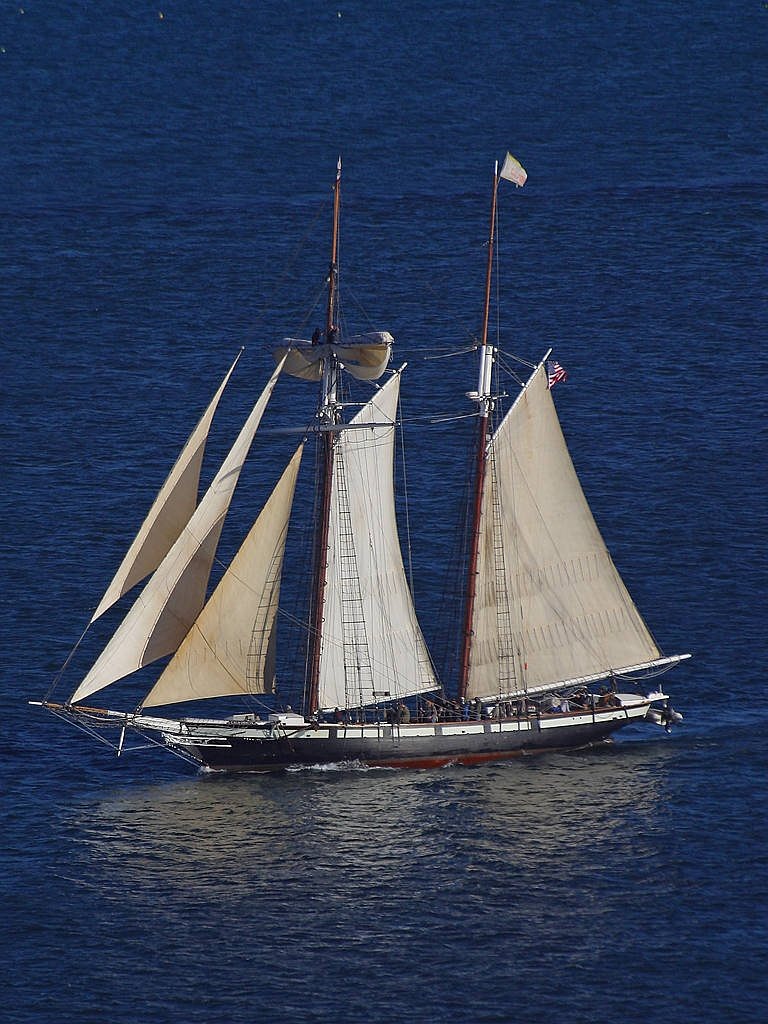 Image - sailing vessel sail sea