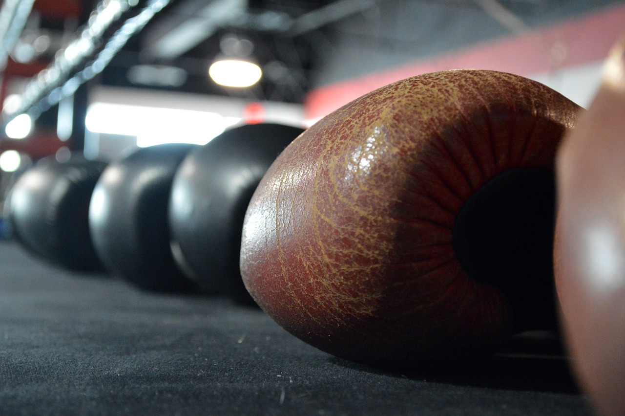 Image - boxing gloves boxing ring boxing